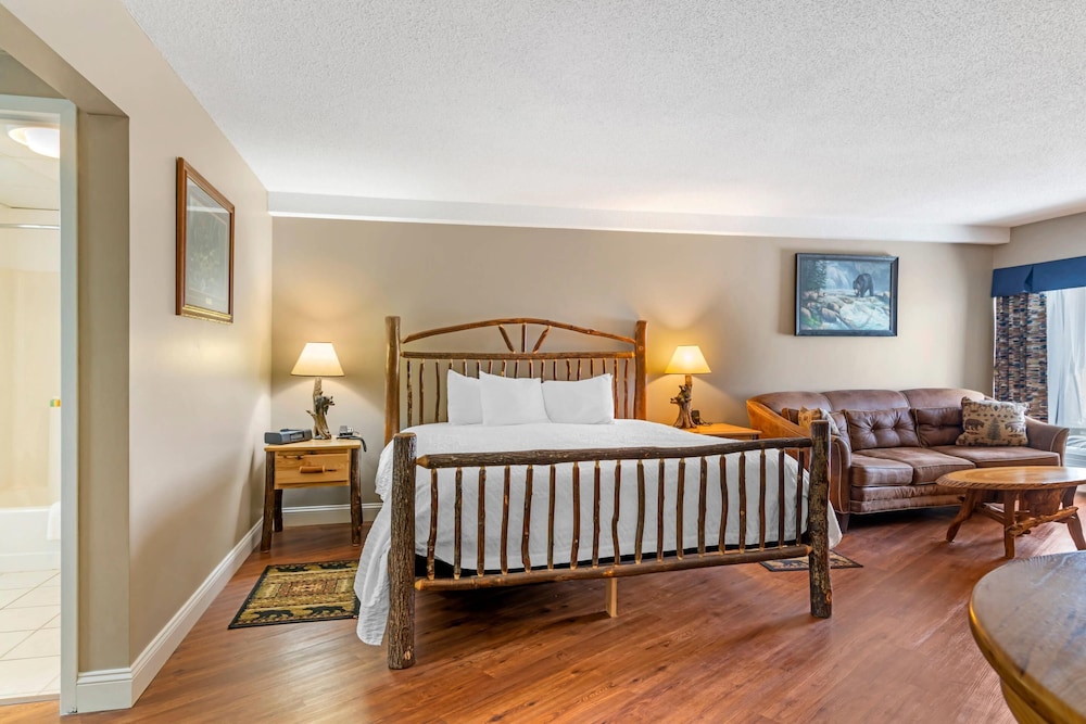 Suite, 1 King Bed, Non Smoking photo 1
