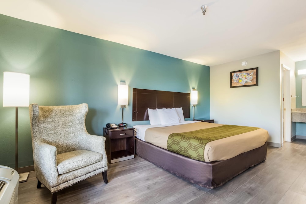 Room, 1 King Bed, Non Smoking photo 1