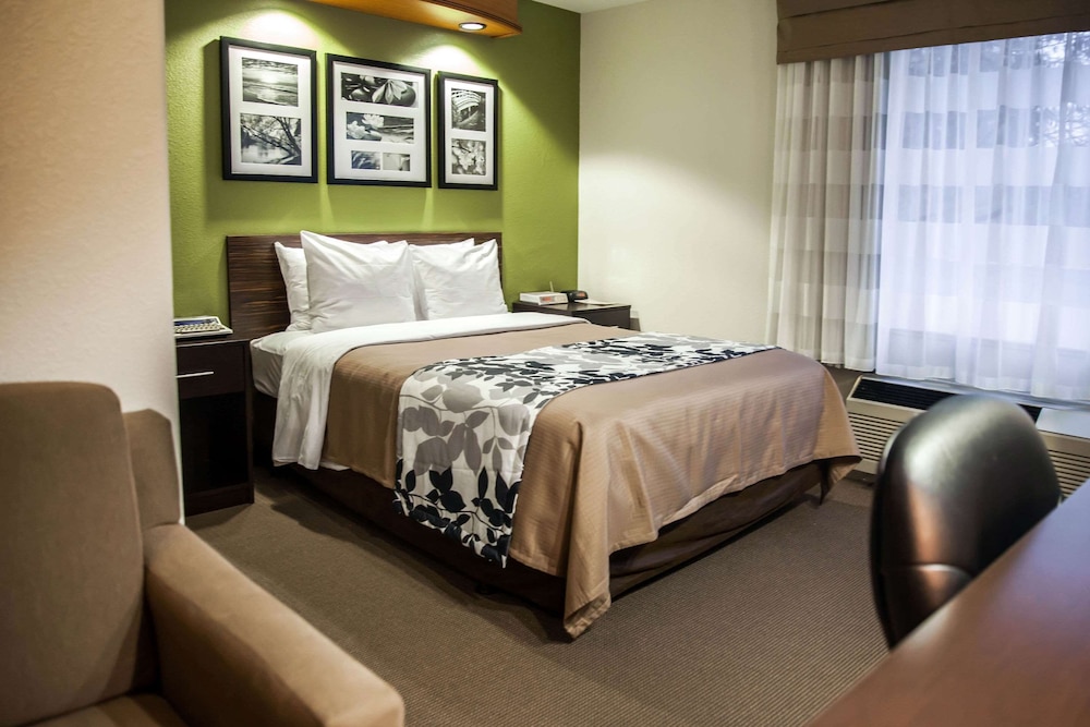 Room, 1 Queen Bed, Accessible, Non Smoking photo 1