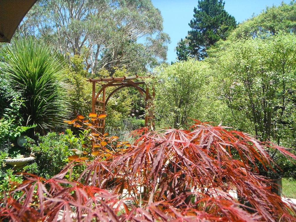 Crimson Villa photo 3