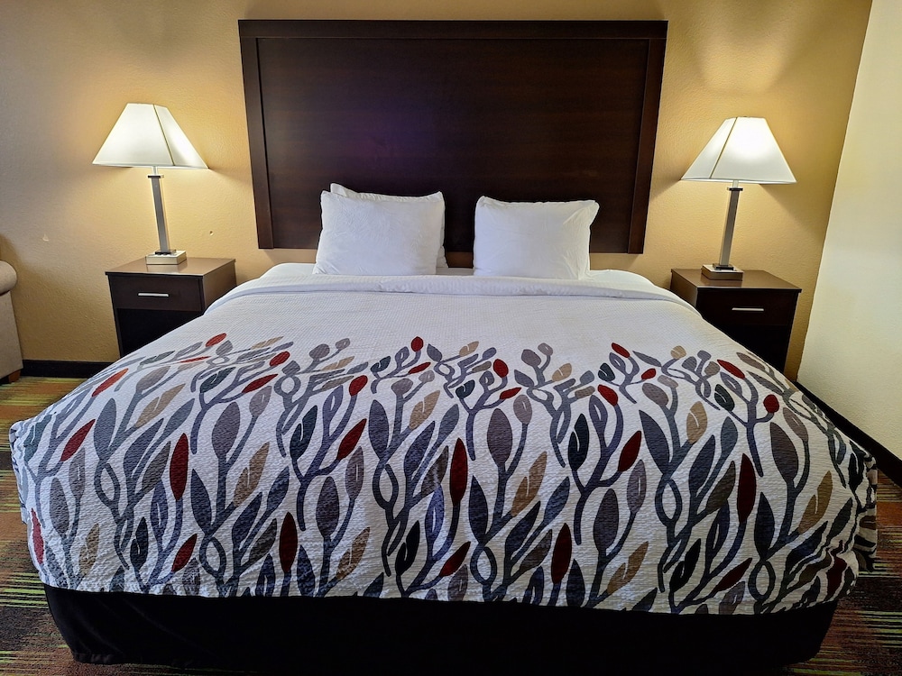 Room, 1 King Bed, Accessible - Photo 1