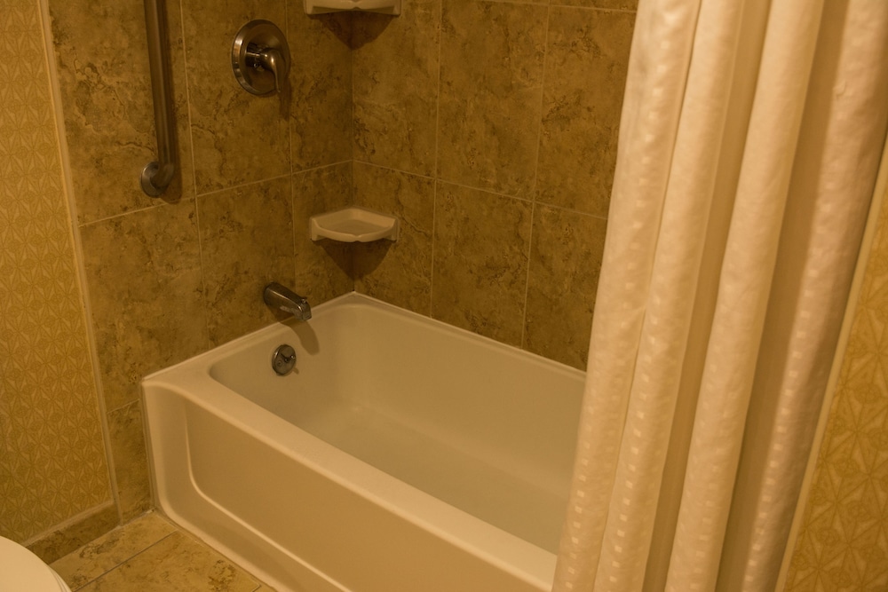Suite, 1 King Bed - Photo 9