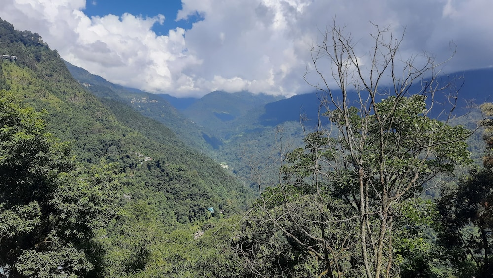 家庭双人房,阳台,山谷景观