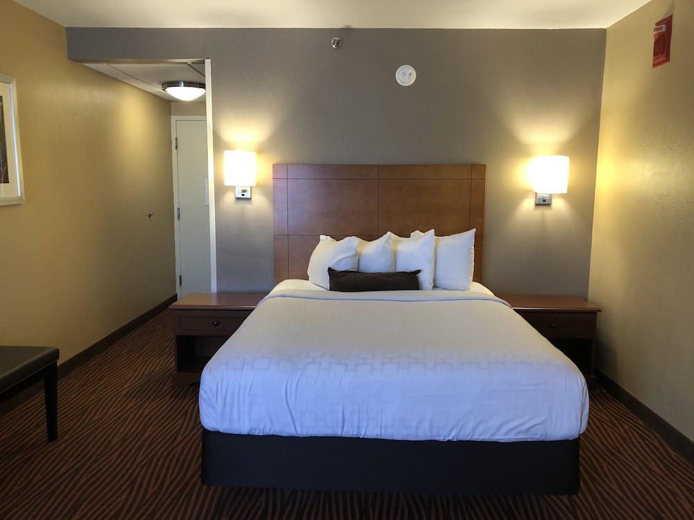 Standard Room, 1 Queen Bed, Non Smoking, Microwave - Photo 1