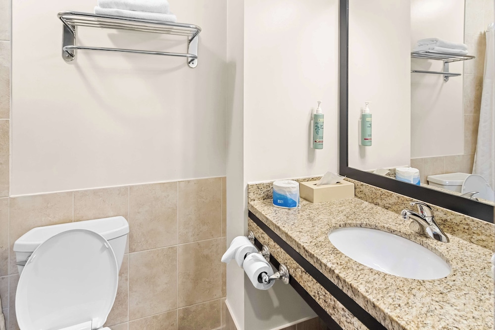 Suite, 1 King Bed, Non Smoking, Refrigerator & Microwave (with Sofabed) - Photo 4