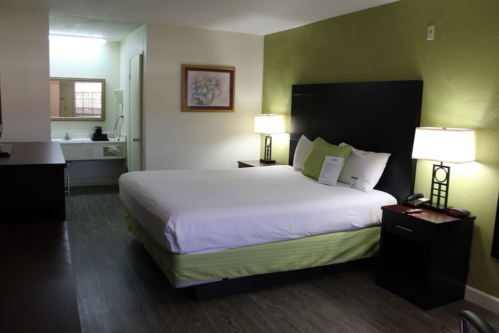 Deluxe Room, 1 King Bed, Non Smoking, Refrigerator & Microwave - Photo 5