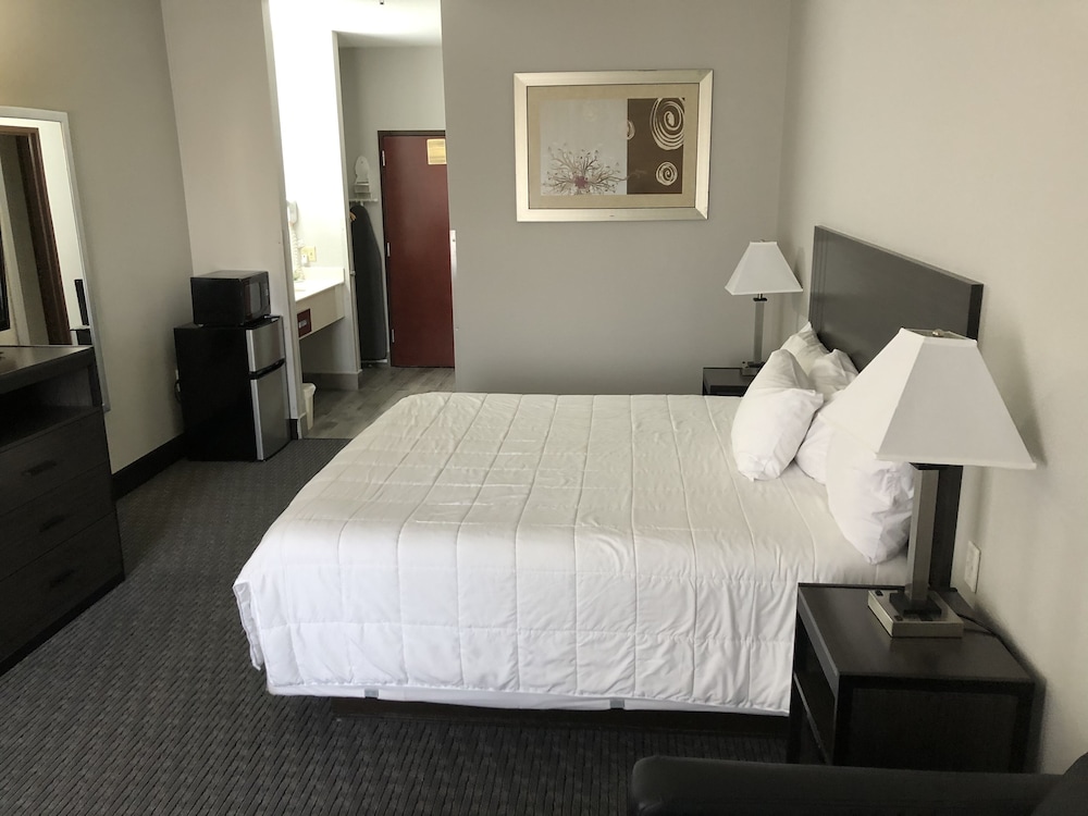 Standard Suite, 1 King Bed photo 2