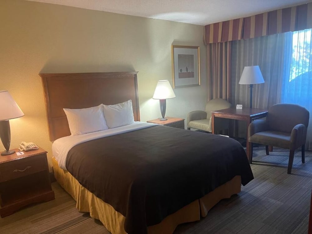 Basic Single Room, 1 Queen Bed, Mobility Accessible, Non Smoking photo 1