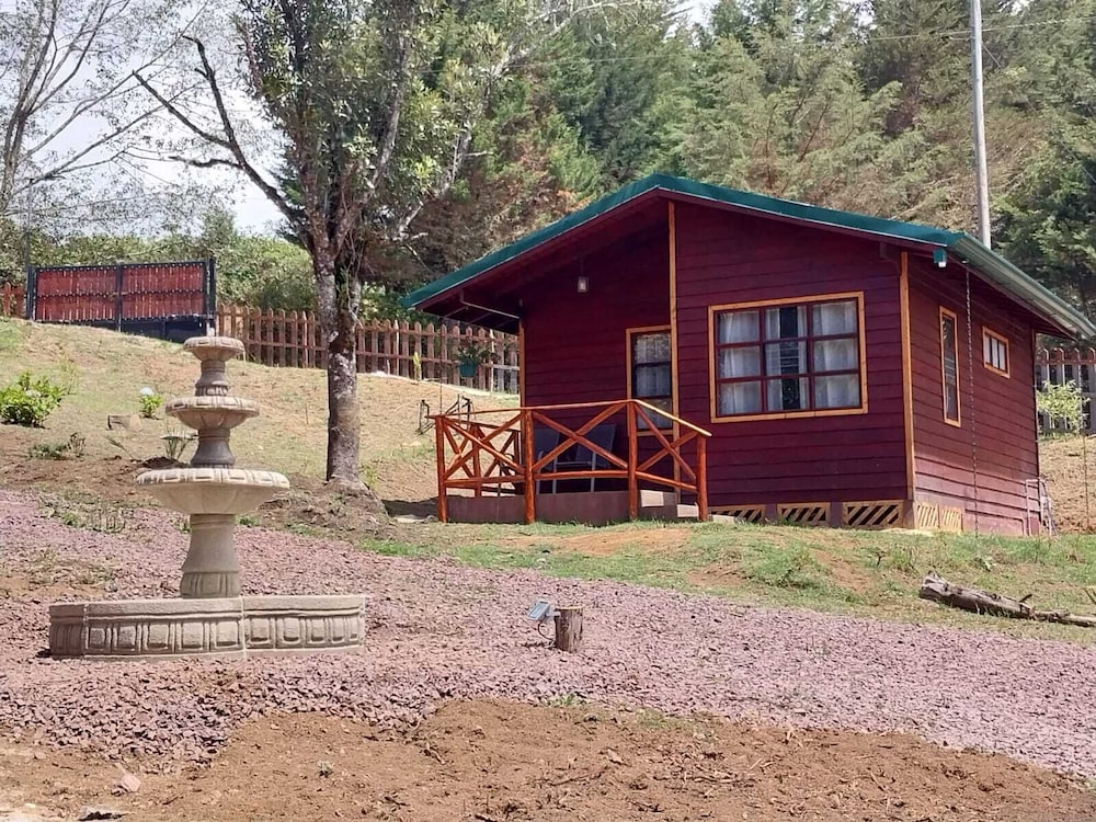 Family Cabin photo 1