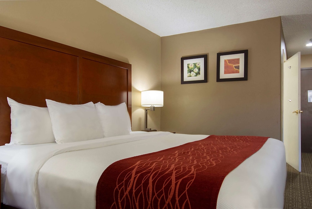 Standard Room, 1 King Bed, Accessible, Non Smoking - Photo 3