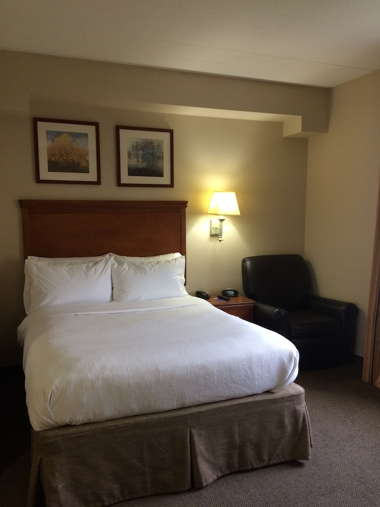 Studio Suite, 1 Queen Bed, Kitchen - Photo 3