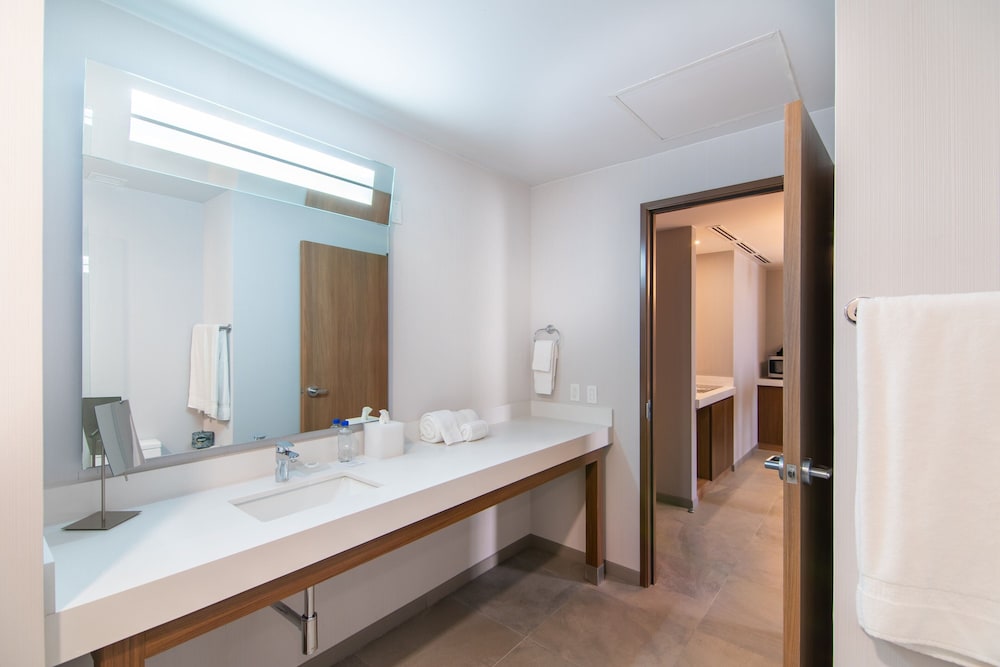 Suite, 1 Bedroom - Photo 9