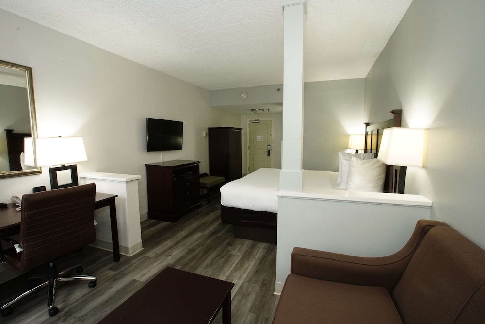 Suite, 1 Queen Bed, Accessible, Refrigerator & Microwave (with Sofabed) - Photo 8