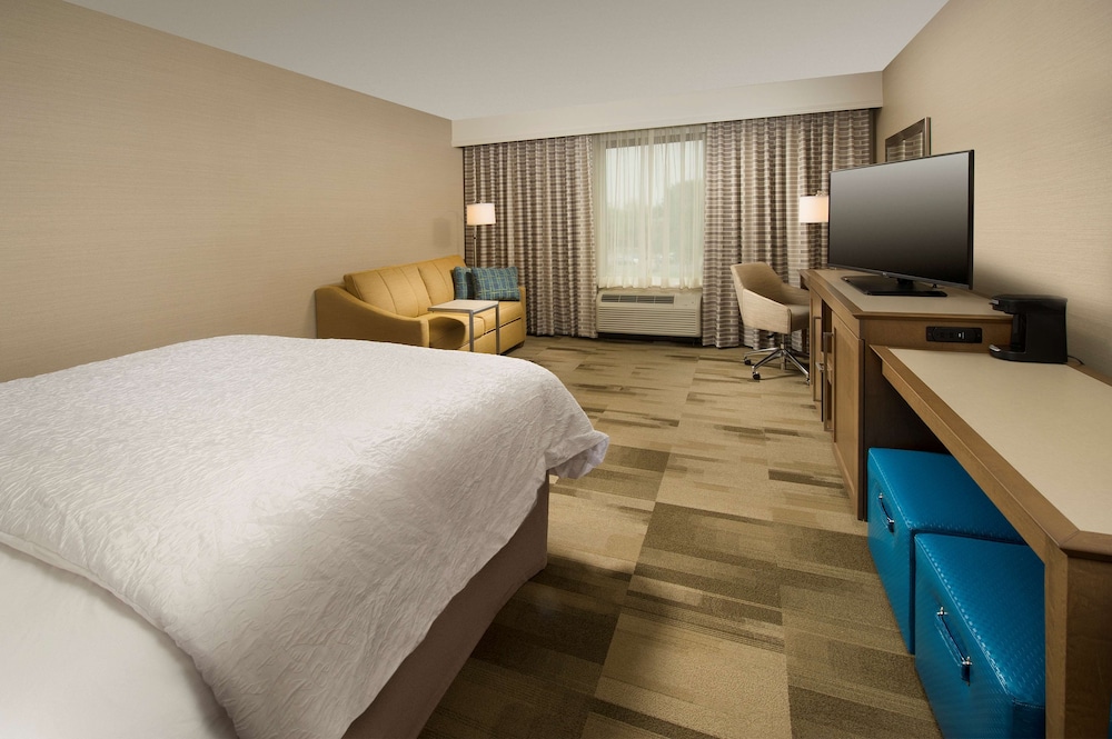Room, 1 King Bed with Sofa bed, Accessible photo 1