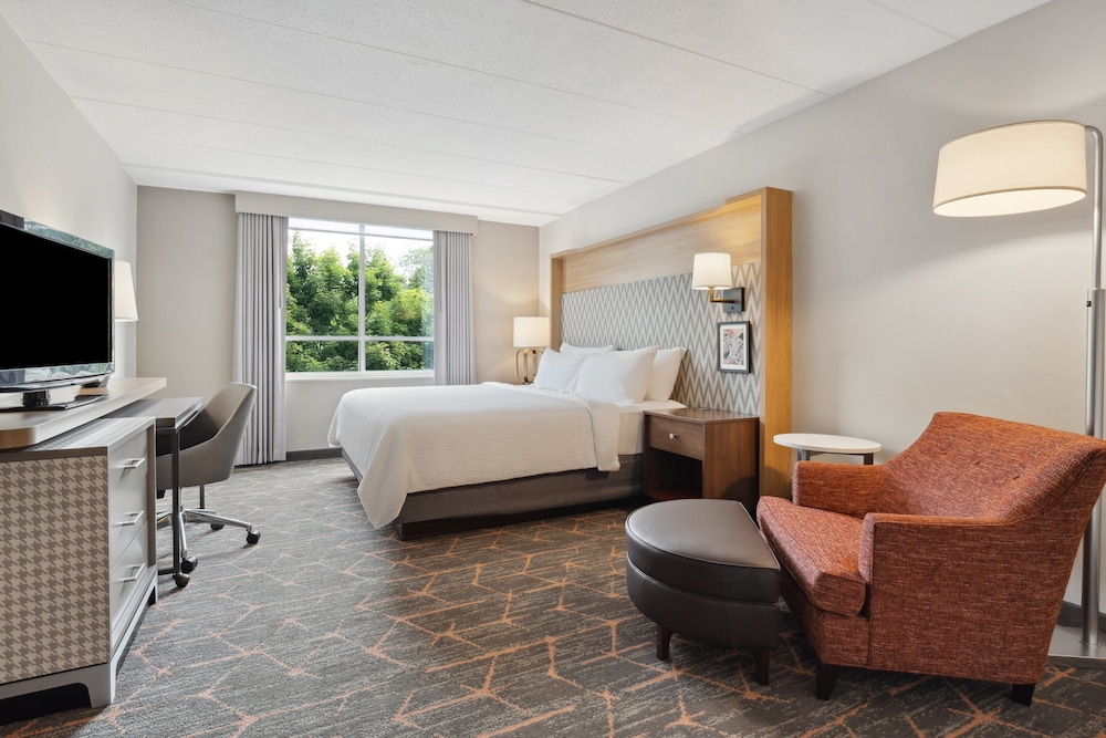 Standard Room, 1 King Bed, Accessible (Communication, Transfer Shower) - Photo 6