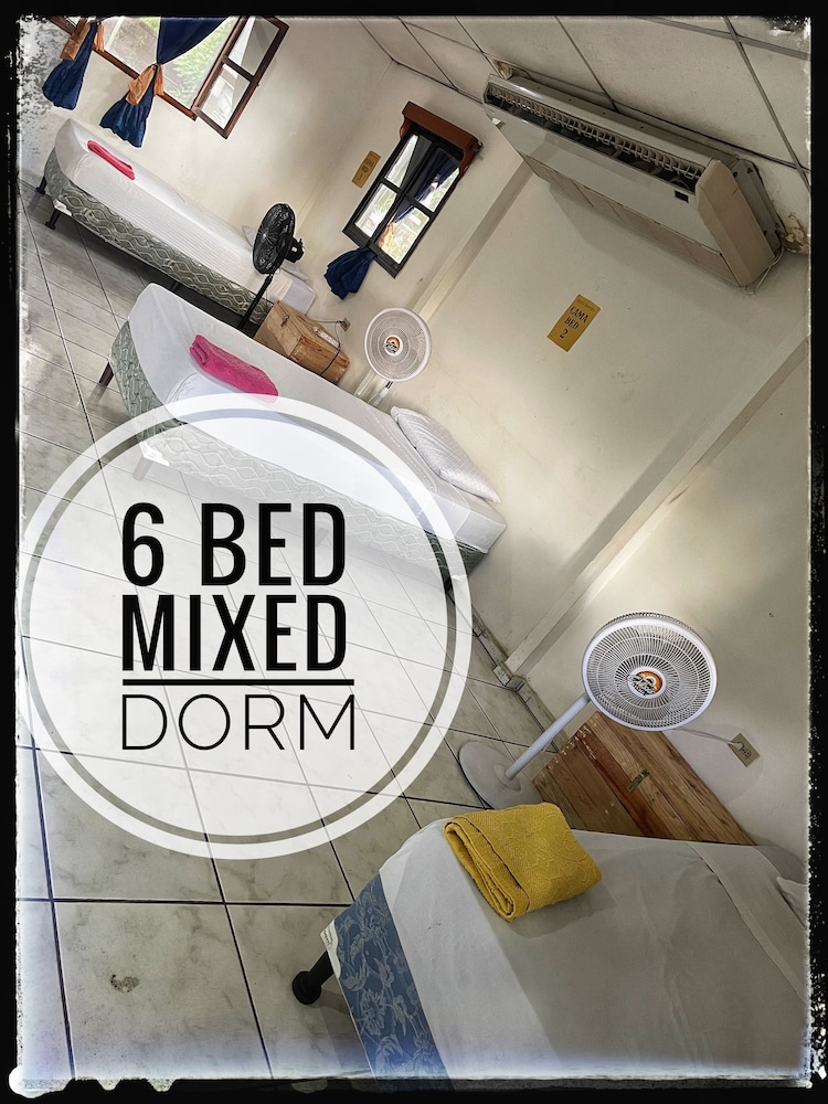 Classic Shared Dormitory photo 2