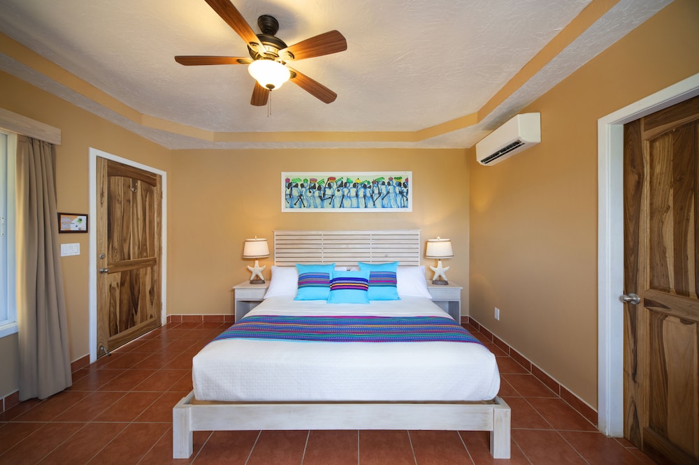 Basic Room, 1 King Bed