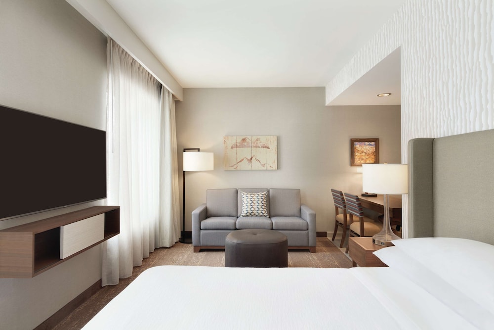 Suite, 1 King Bed, Accessible, Bathtub photo 2