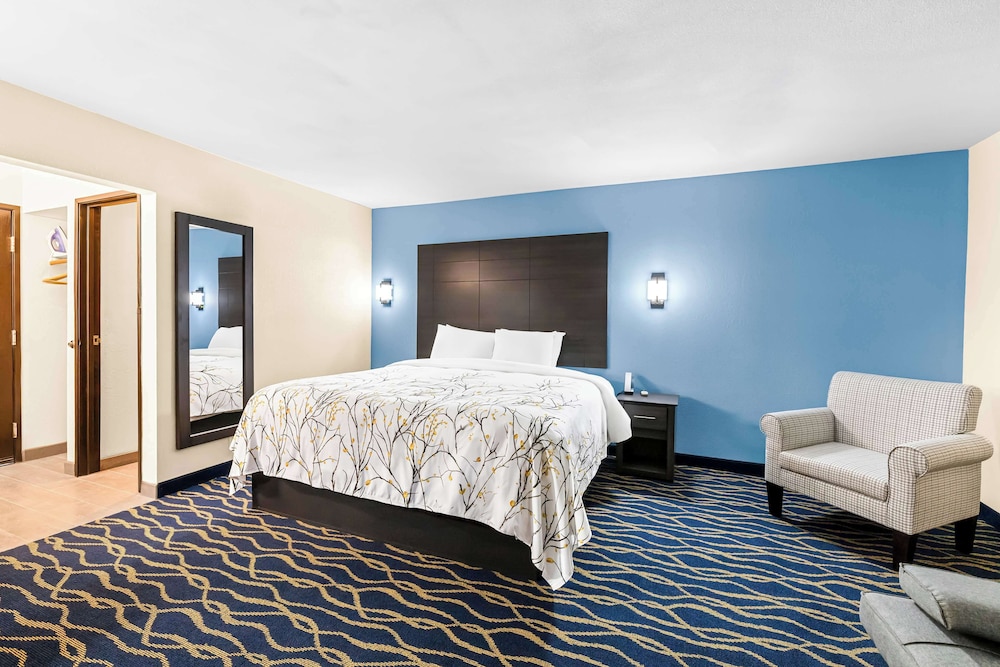 Suite, 1 King Bed, Non Smoking - Photo 4