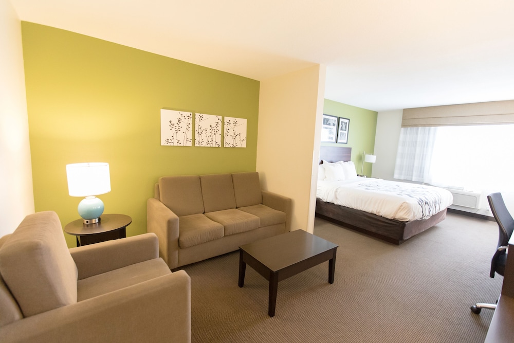 Suite, 1 King Bed with Sofa bed, Non Smoking photo 3