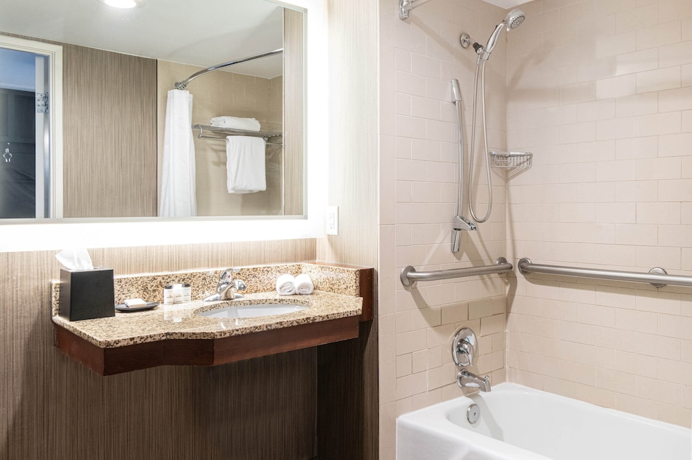 Traditional Room, 1 King Bed, City View (Mobility/Hearing Accessible, Tub) - Photo 5