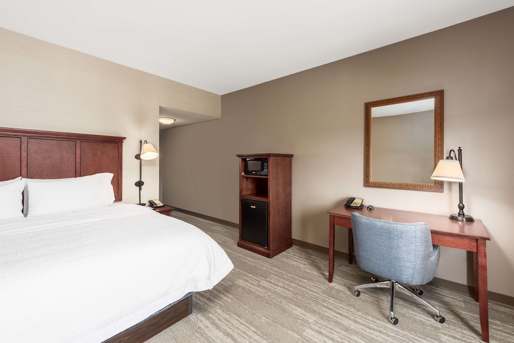 Room, 1 King Bed, Accessible photo 1