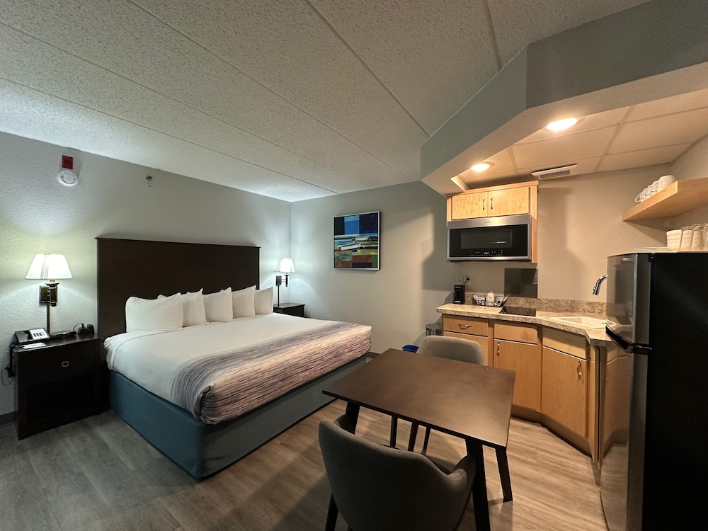 Room, 1 King Bed, Non Smoking (Efficiency)