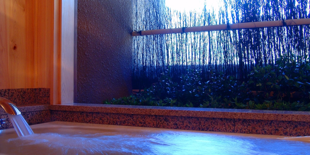 Deluxe Suite with Tatami Area photo 2