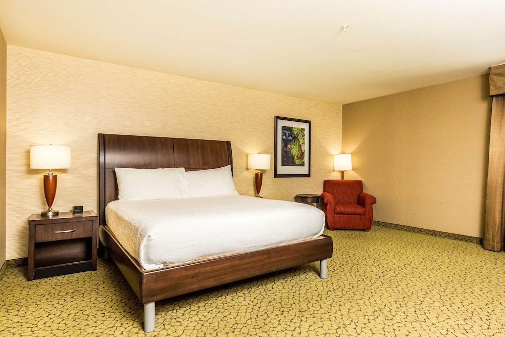 Room, 1 King Bed, Accessible - Photo 3