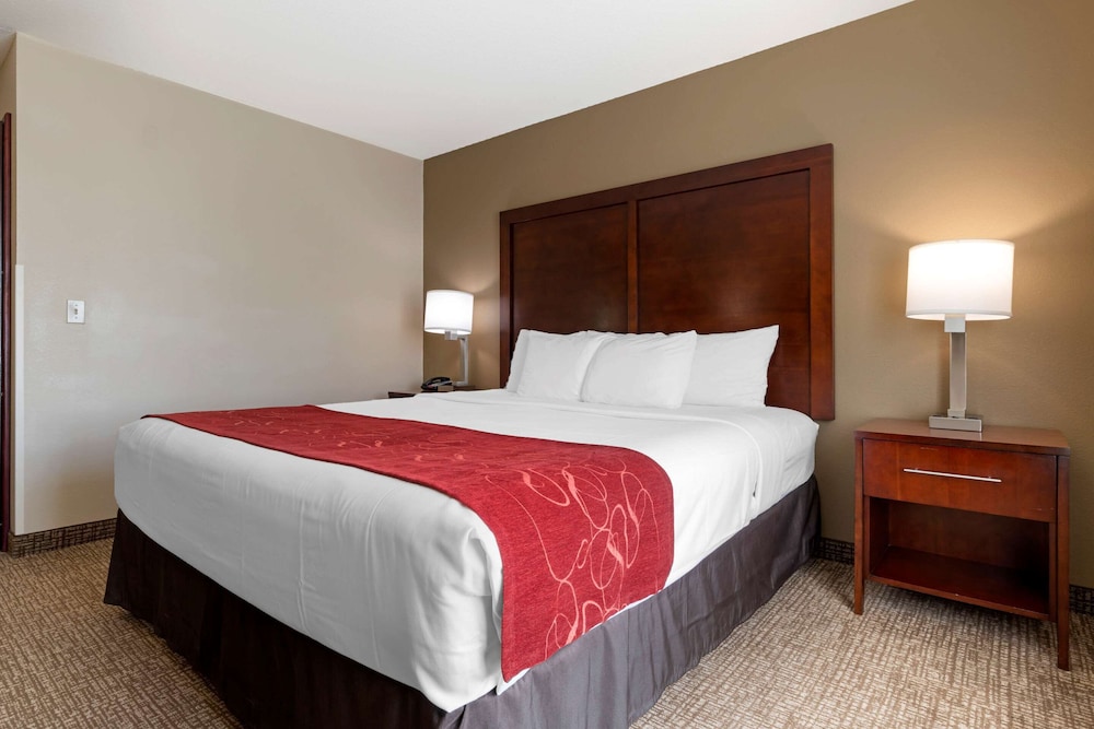 Standard Studio Suite, 1 King Bed with Sofa bed