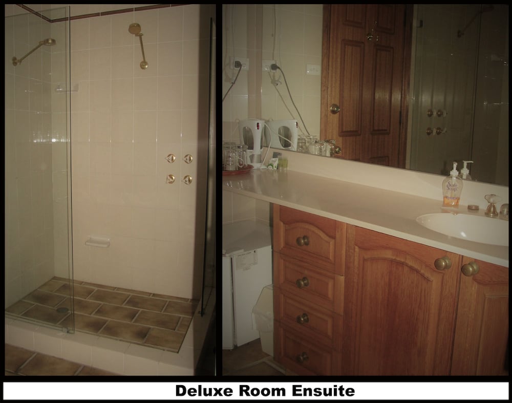 Deluxe Room photo 2