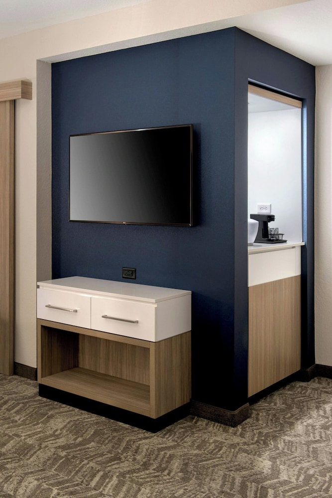 SpringHill Suites by Marriott Tampa Suncoast Parkway, Photo 3
