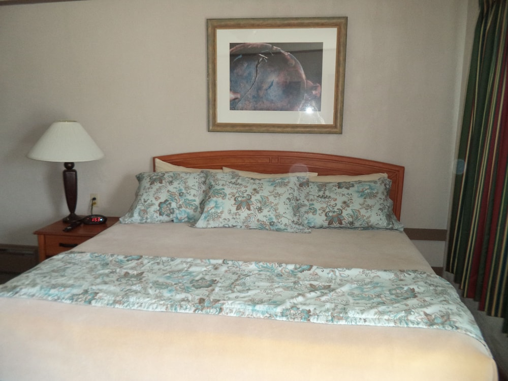 Room, 1 King Bed photo 3