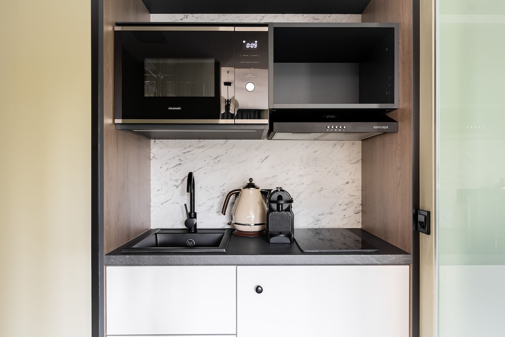 Large Studio with Kitchenette - Photo 7