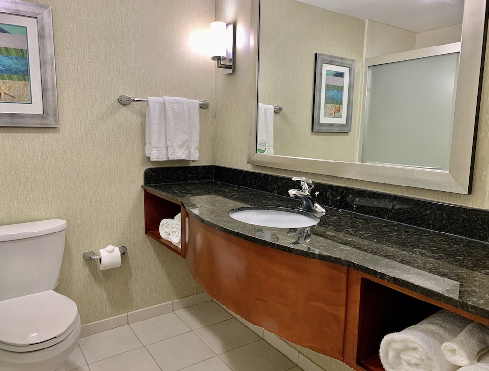 Standard Room, 1 King Bed, Oceanfront - Photo 9