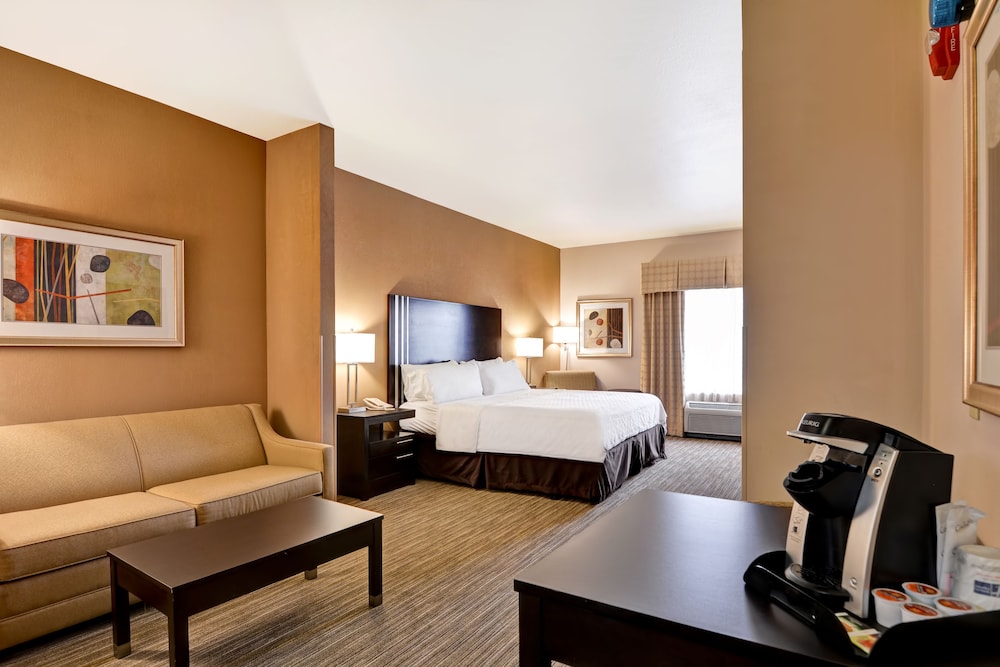 Suite, 1 King Bed with Sofa bed, Accessible - Photo 2