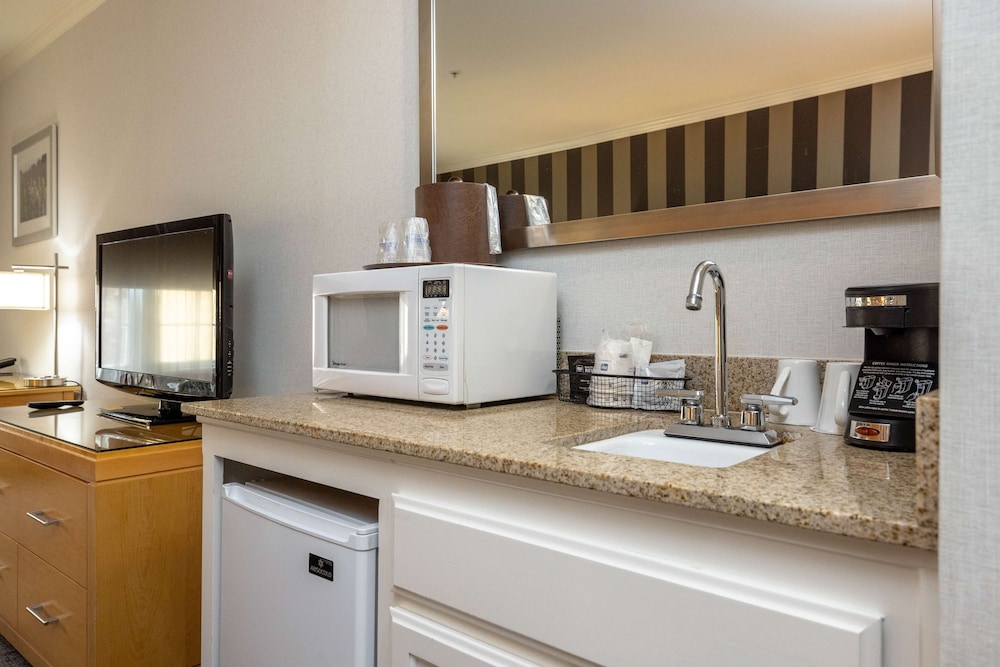Standard Room, 1 King Bed, Non Smoking, Refrigerator & Microwave (Interior Corridor) - Photo 3