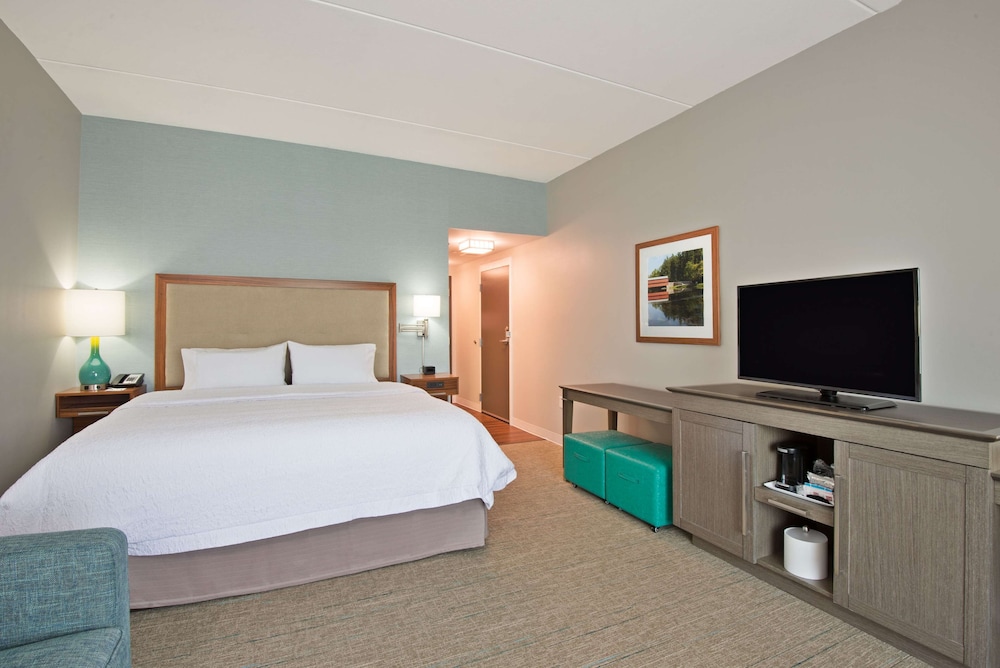 Room, 1 King Bed, Non Smoking, Refrigerator photo 3