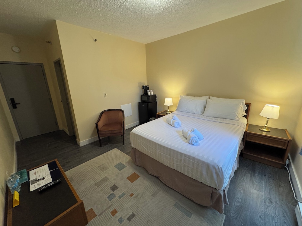 Single Room, 1 Queen Bed photo 3