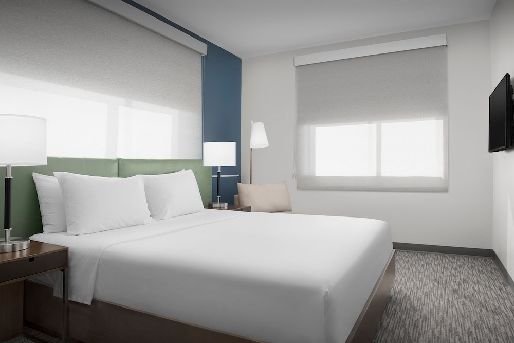 Executive Suite, 1 King Bed with Sofa bed, Mountain View photo 1