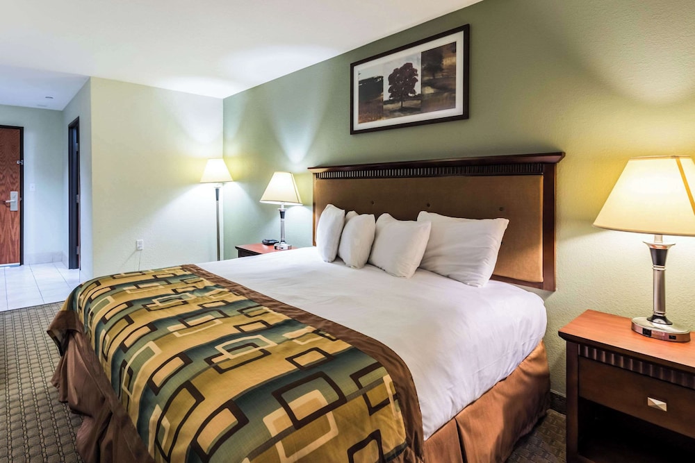 Room, 1 King Bed, Accessible, Non Smoking (Efficiency) - Photo 4