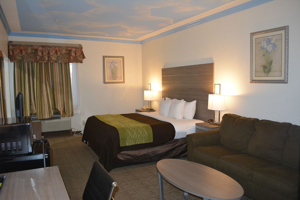 Elite Single Room, 1 King Bed photo 1