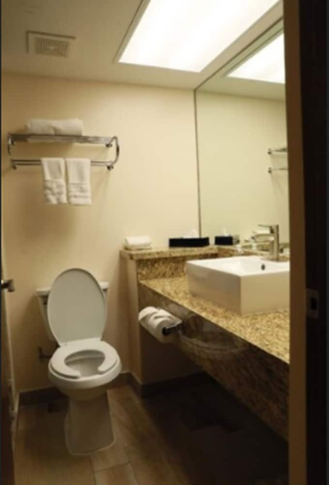 Suite, 1 King Bed, Non Smoking - Photo 6