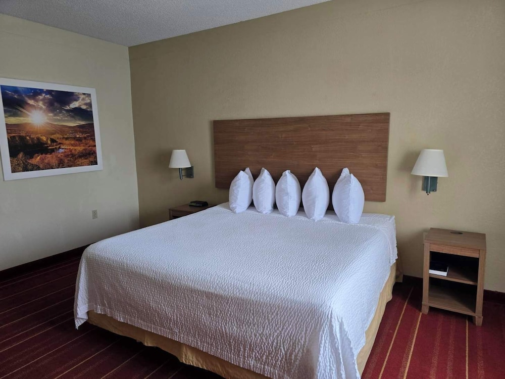 Standard Room, 1 King Bed, Accessible - Photo 1