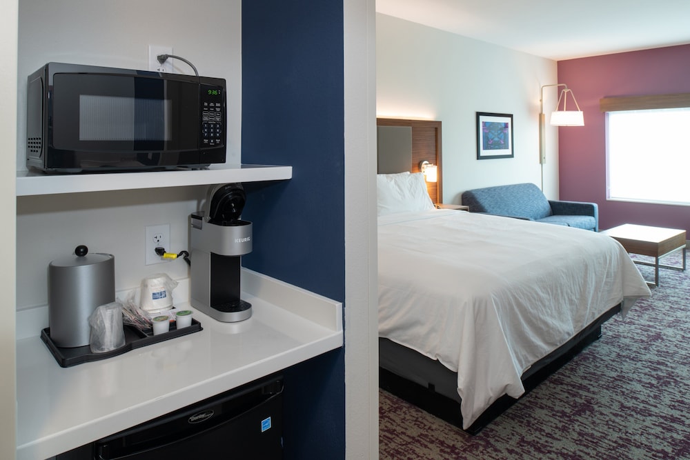 Suite, 1 King Bed - Photo 1