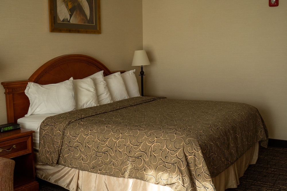 Executive Room, 1 King Bed - Photo 4
