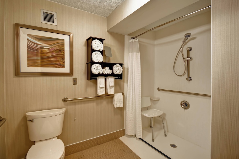Room, 1 King Bed (Mobility/Hearing Access, Roll-In Shwr) - Photo 2
