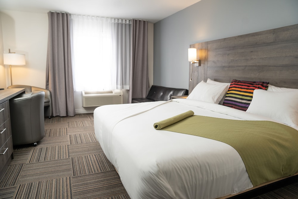 Signature Room, 1 King Bed photo 1