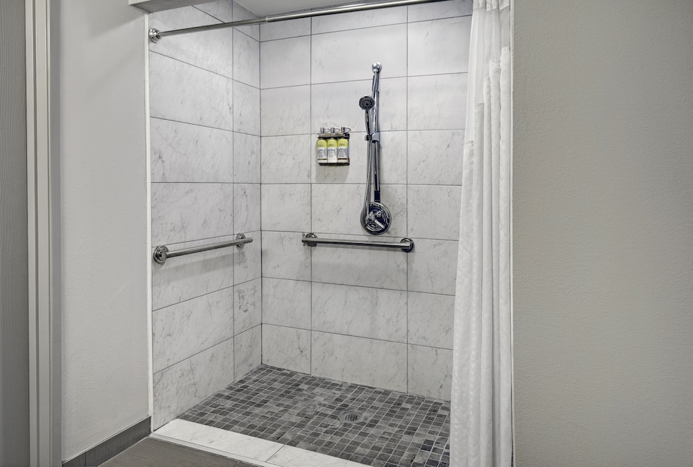 Suite, 1 King Bed, Accessible (Communication, Roll-In Shower) - Photo 4