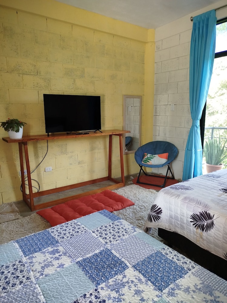 Family Room, Garden View photo 2